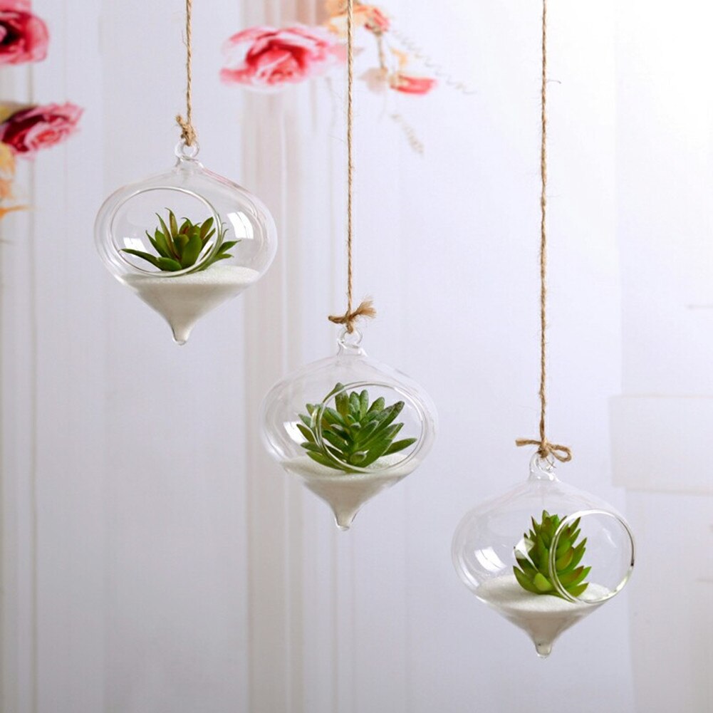Flytande Glas Vaser Terrarium | Veska