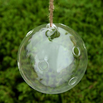 Flytande Glas Vaser Terrarium | Veska Set om 5