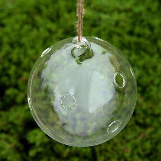 Flytande Glas Vaser Terrarium | Veska Set om 5