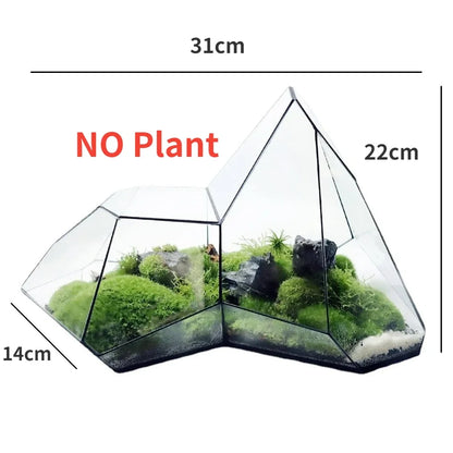 Geometrisk Glas Mossa Planter Terrarium Vas | Veska A