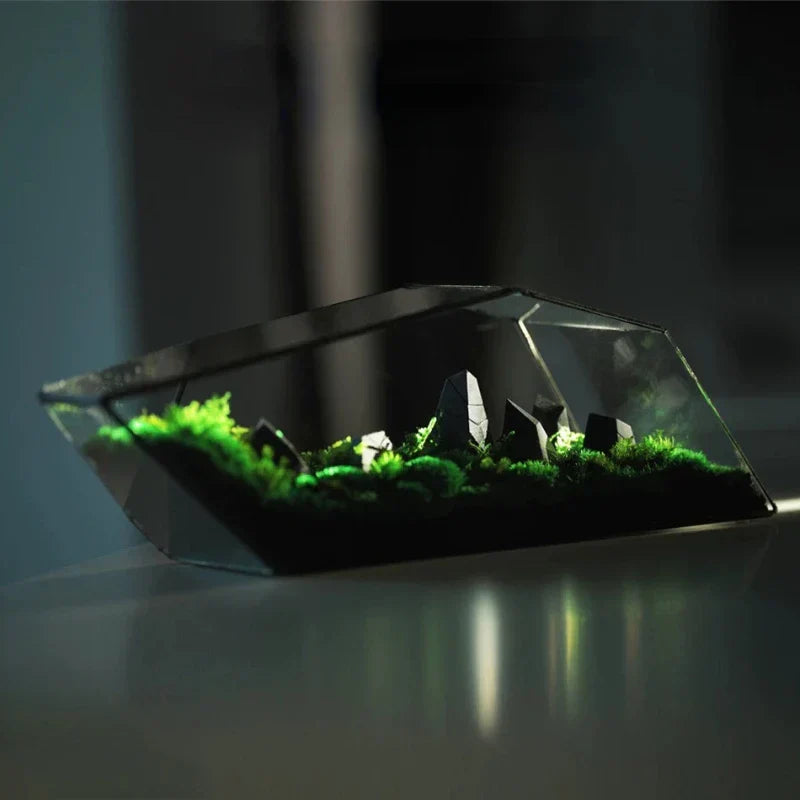 Geometrisk Glas Mossa Planter Terrarium Vas | Veska