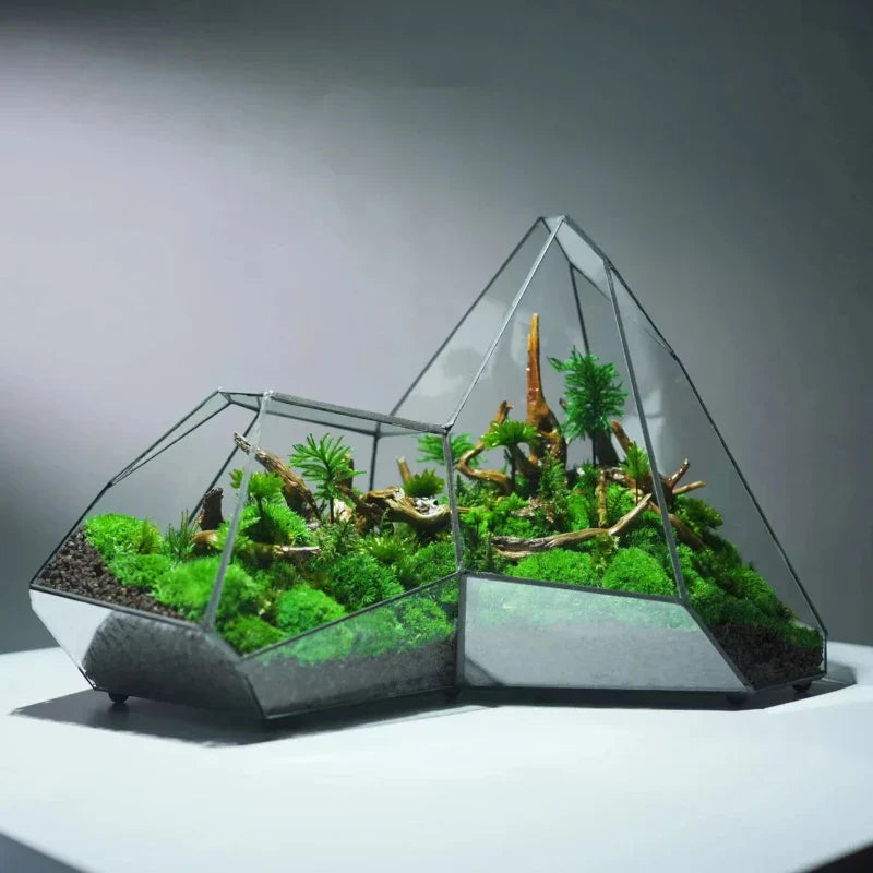 Geometrisk Glas Mossa Planter Terrarium Vas | Veska
