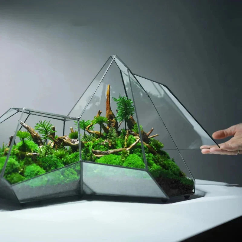 Geometrisk Glas Mossa Planter Terrarium Vas | Veska