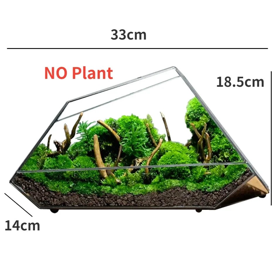 Geometrisk Glas Mossa Planter Terrarium Vas | Veska B