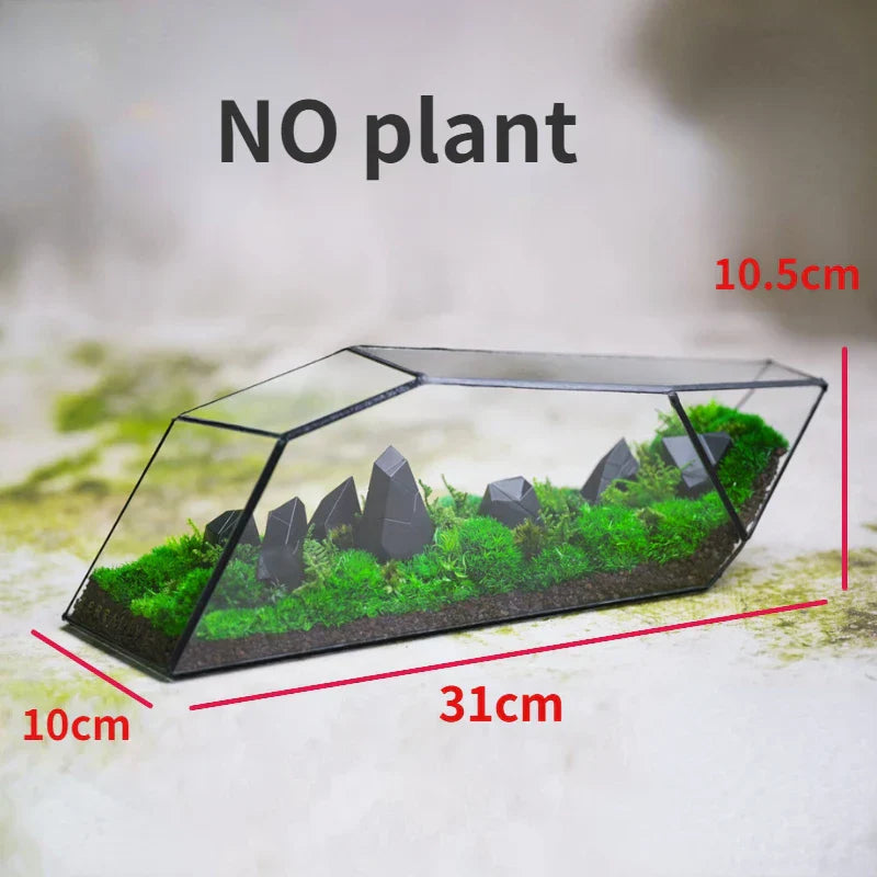 Geometrisk Glas Mossa Planter Terrarium Vas | Veska C