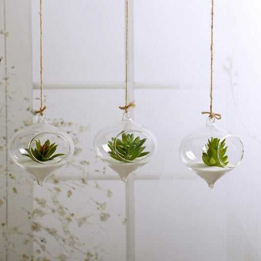 Glas Hängande Terrarium | Veska