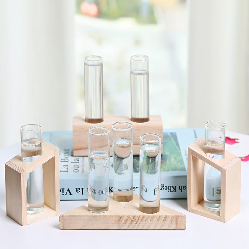 Glas Hydroponik Vasi Inomhus liten Vasi | Veska 3stil