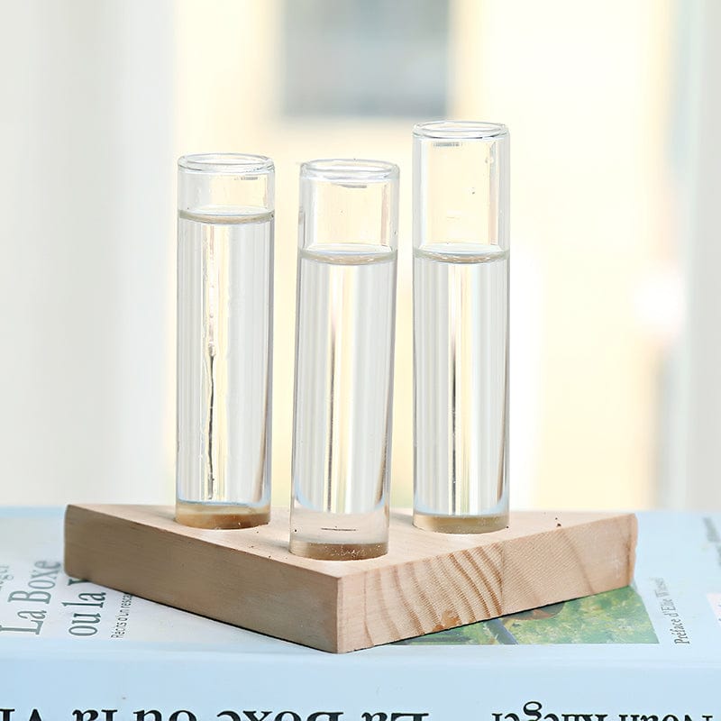 Glas Hydroponik Vasi Inomhus liten Vasi | Veska 4style