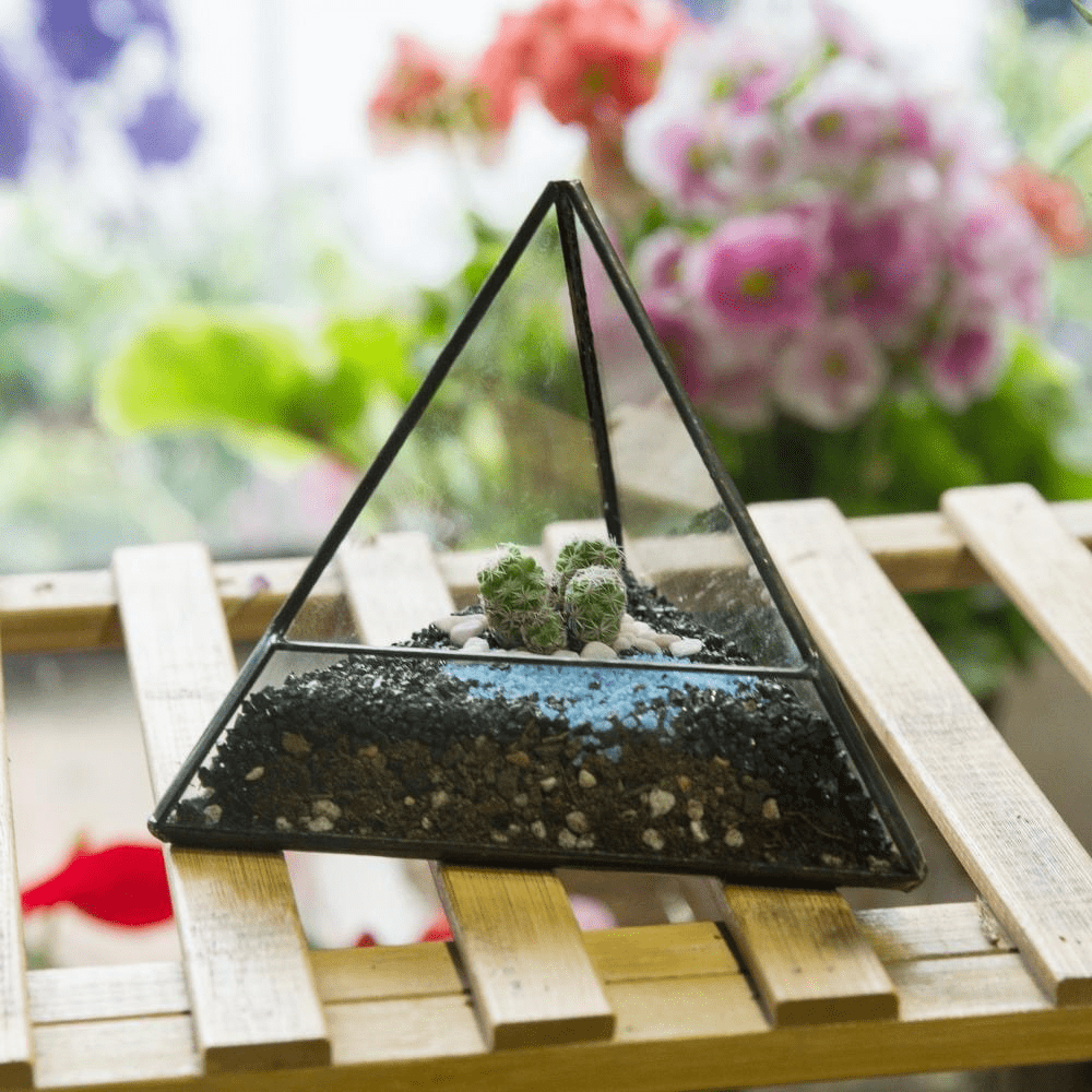 Glas Pyramid Växt Terrarium | Veska