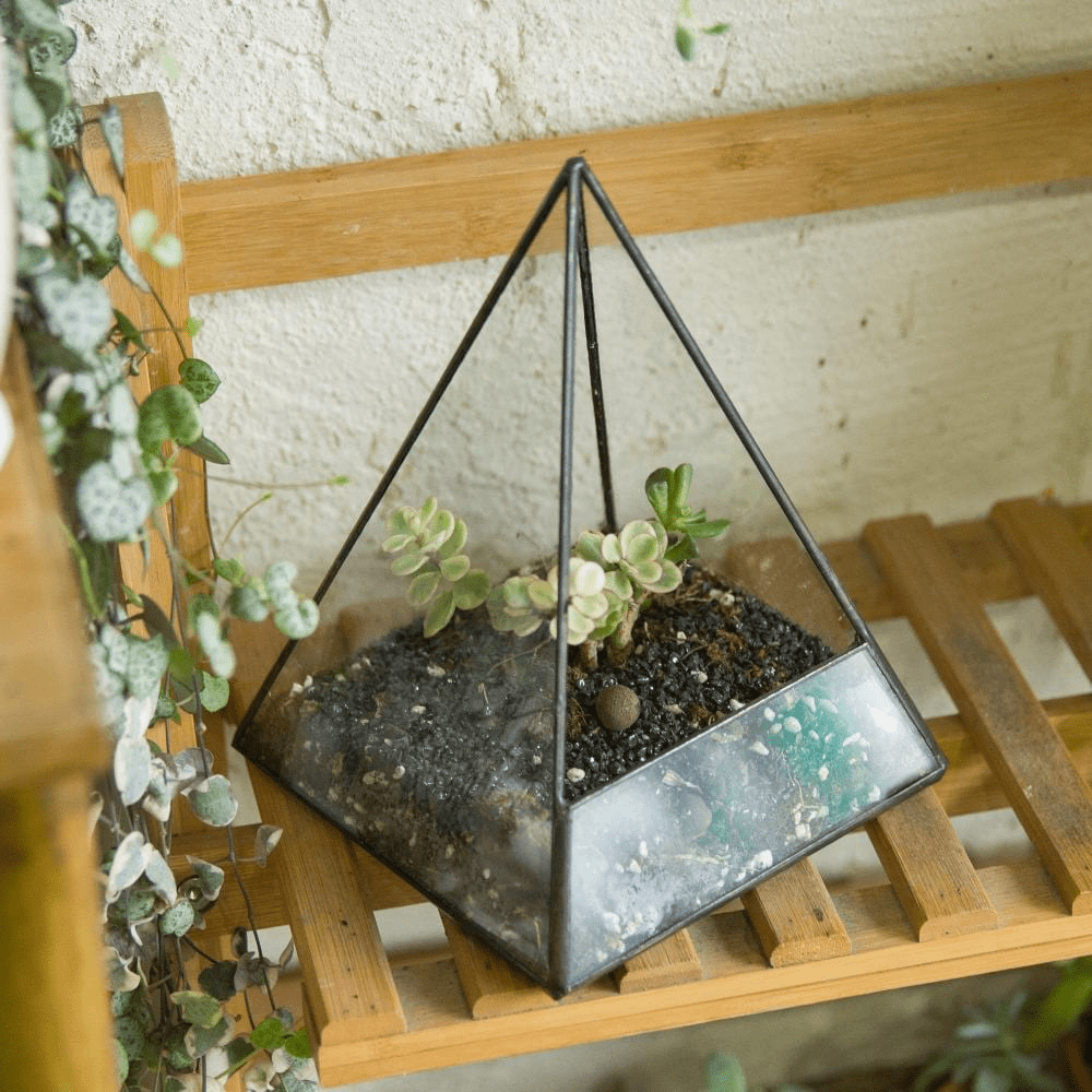 Glas Pyramid Växt Terrarium | Veska