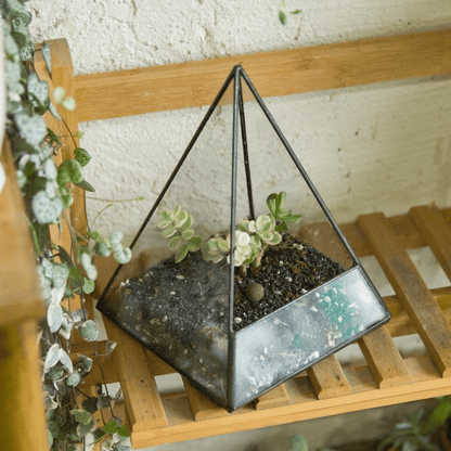 Glas Pyramid Växt Terrarium | Veska