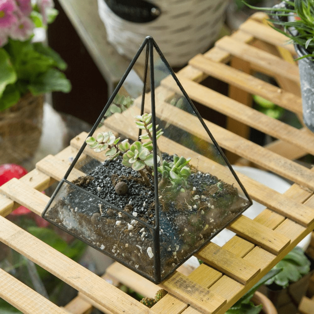 Glas Pyramid Växt Terrarium | Veska