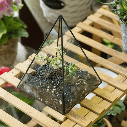 Glas Pyramid Växt Terrarium | Veska