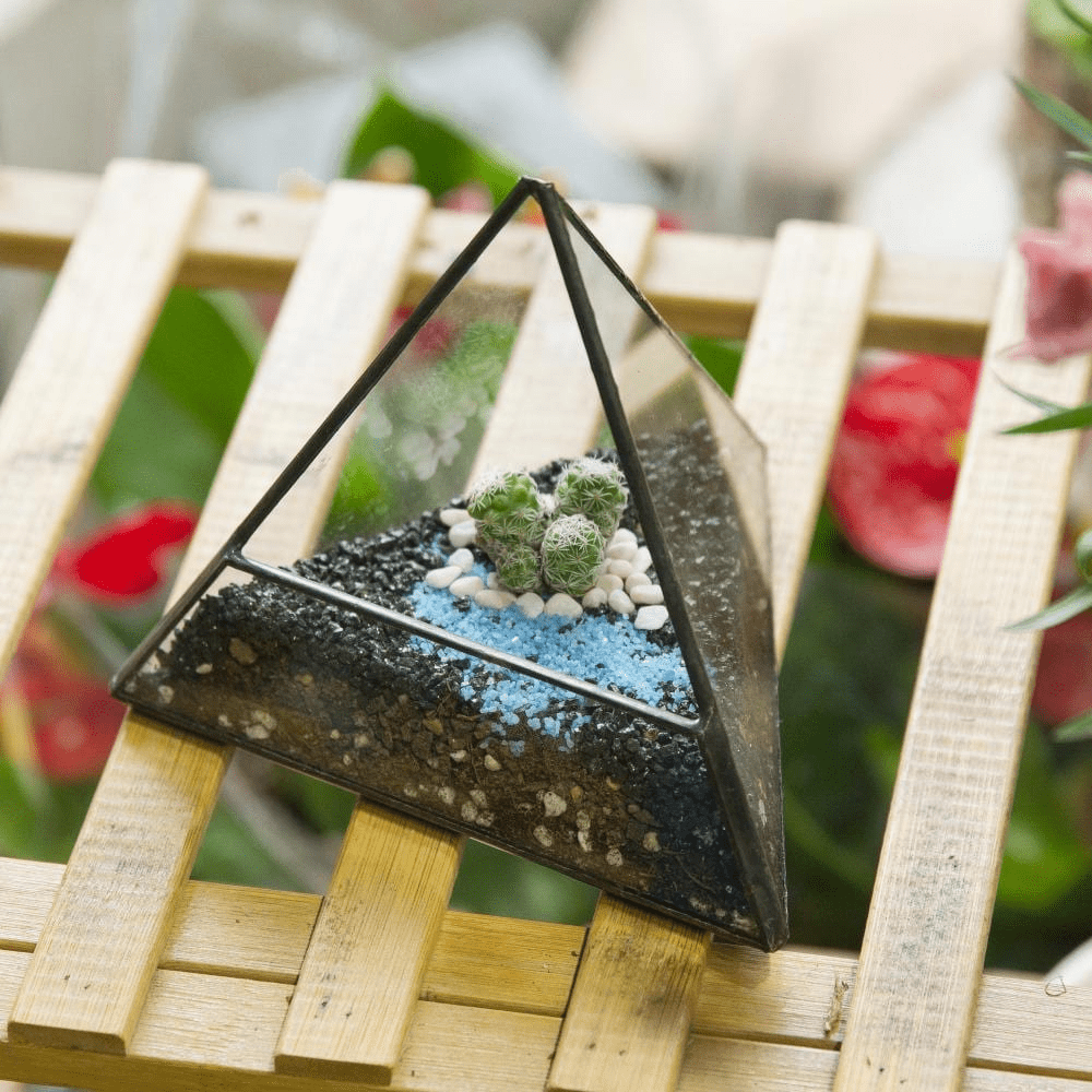 Glas Pyramid Växt Terrarium | Veska