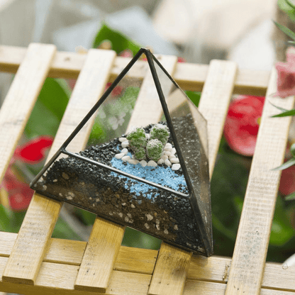 Glas Pyramid Växt Terrarium | Veska
