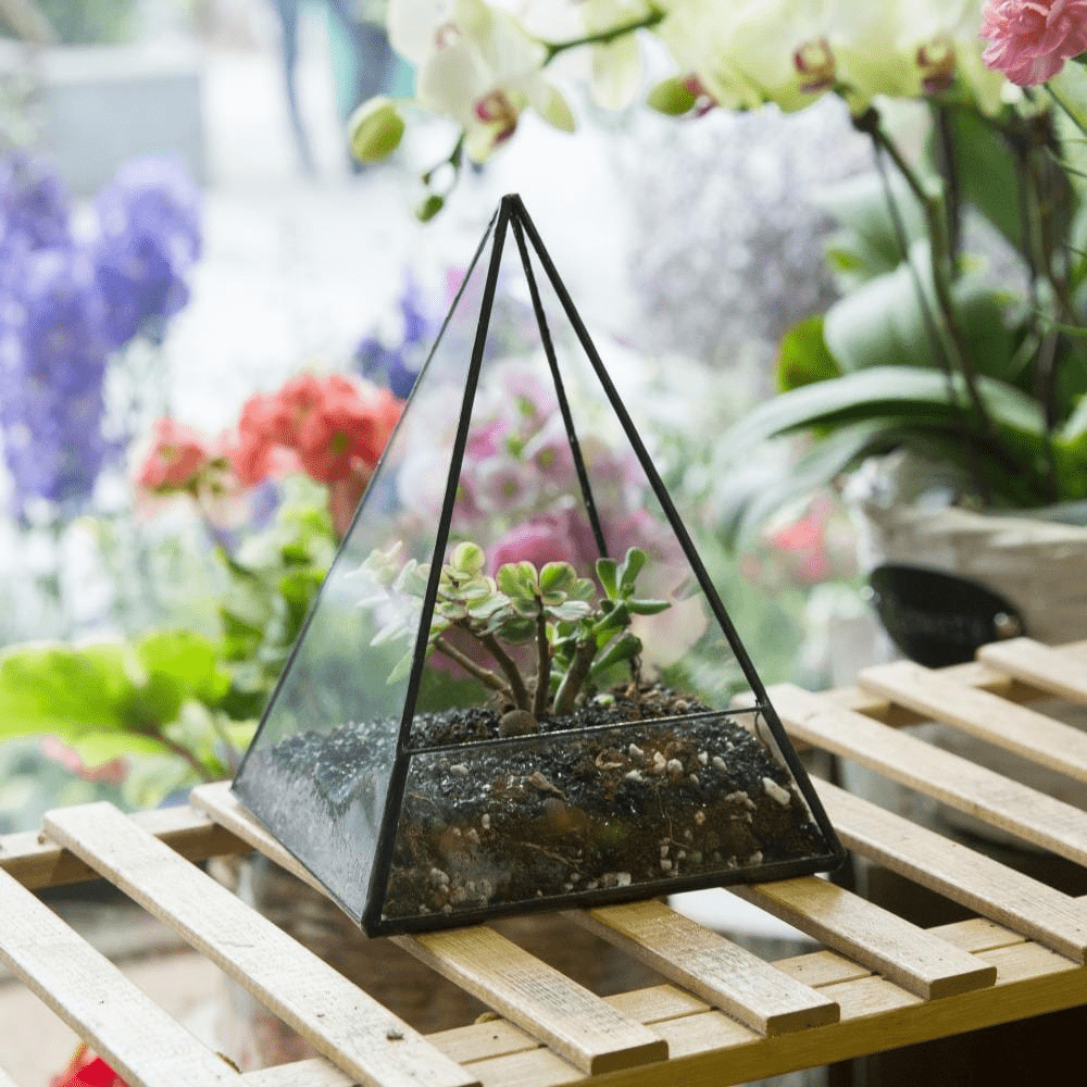 Glas Pyramid Växt Terrarium | Veska