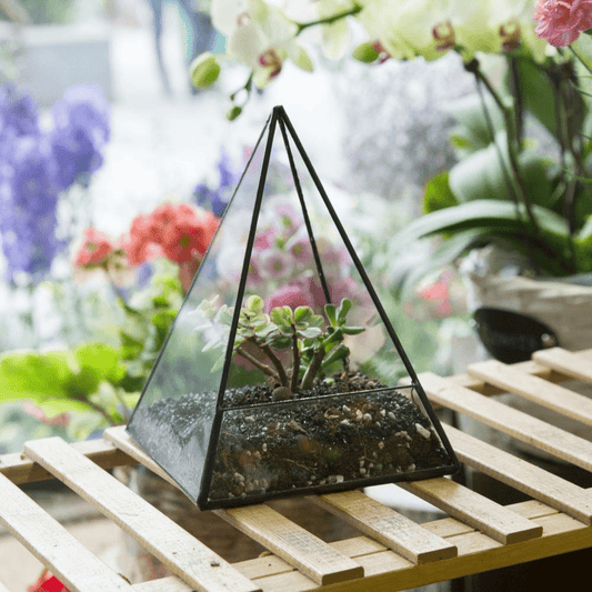 Glas Pyramid Växt Terrarium | Veska