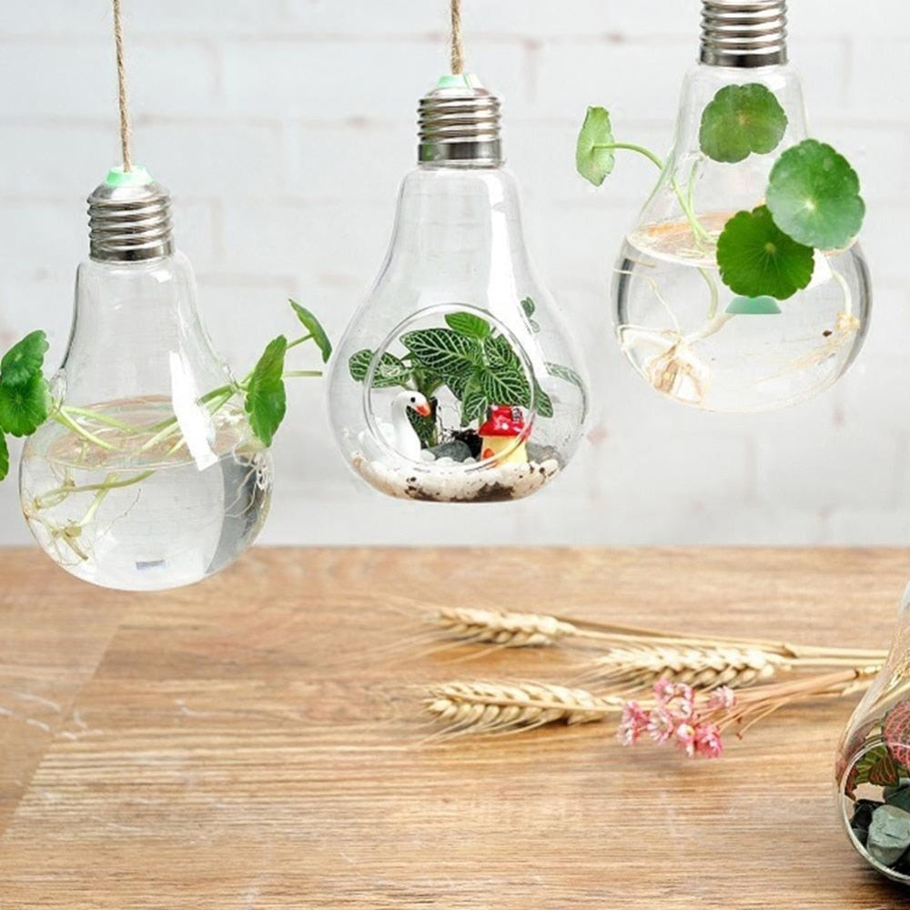 Hängande Glas Lampa Glödlampa Form Blomma Vatten Växt | Veska