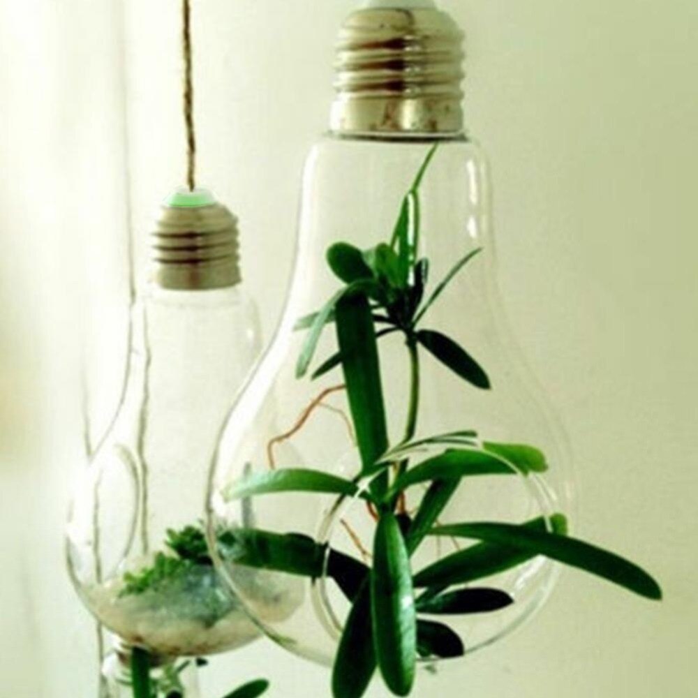 Hängande Glas Lampa Glödlampa Form Blomma Vatten Växt | Veska