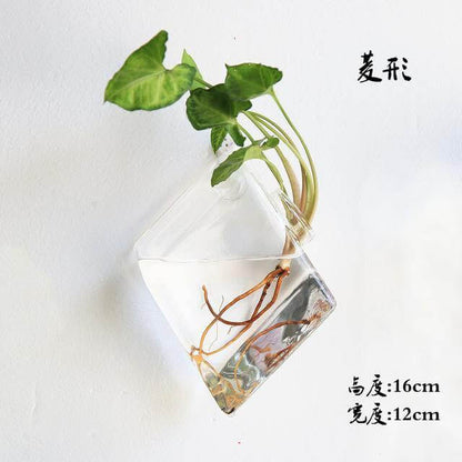 Hantverkad Ny Hexagonal Vägg Klar Terrarium Vas | Veska