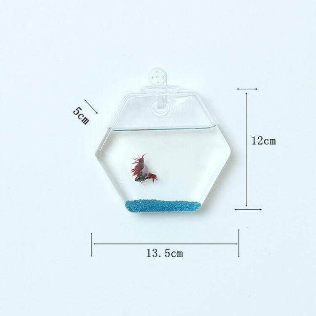Hantverkad Ny Hexagonal Vägg Klar Terrarium Vas | Veska Som bild 4