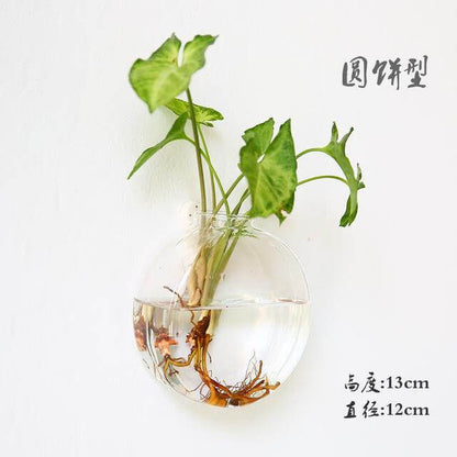 Hantverkad Ny Hexagonal Vägg Klar Terrarium Vas | Veska Som bild 5