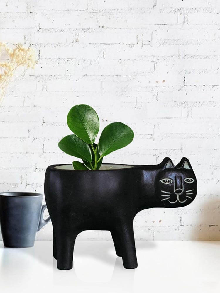Härlig keramisk kattväxtvas | Veska
