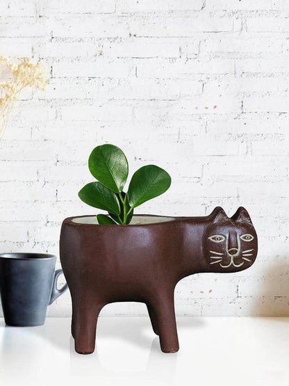 Härlig keramisk kattväxtvas | Veska