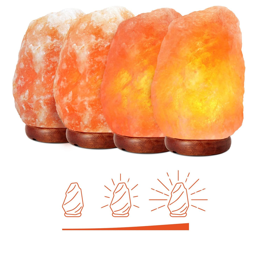 Himalayansk Saltlampa med Dimmerbrytare | Veska