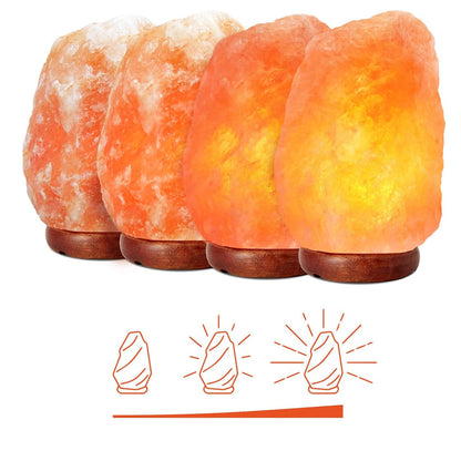 Himalayansk Saltlampa med Dimmerbrytare | Veska