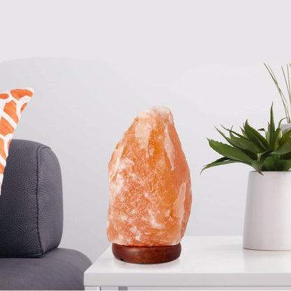 Himalayansk Saltlampa med Dimmerbrytare | Veska