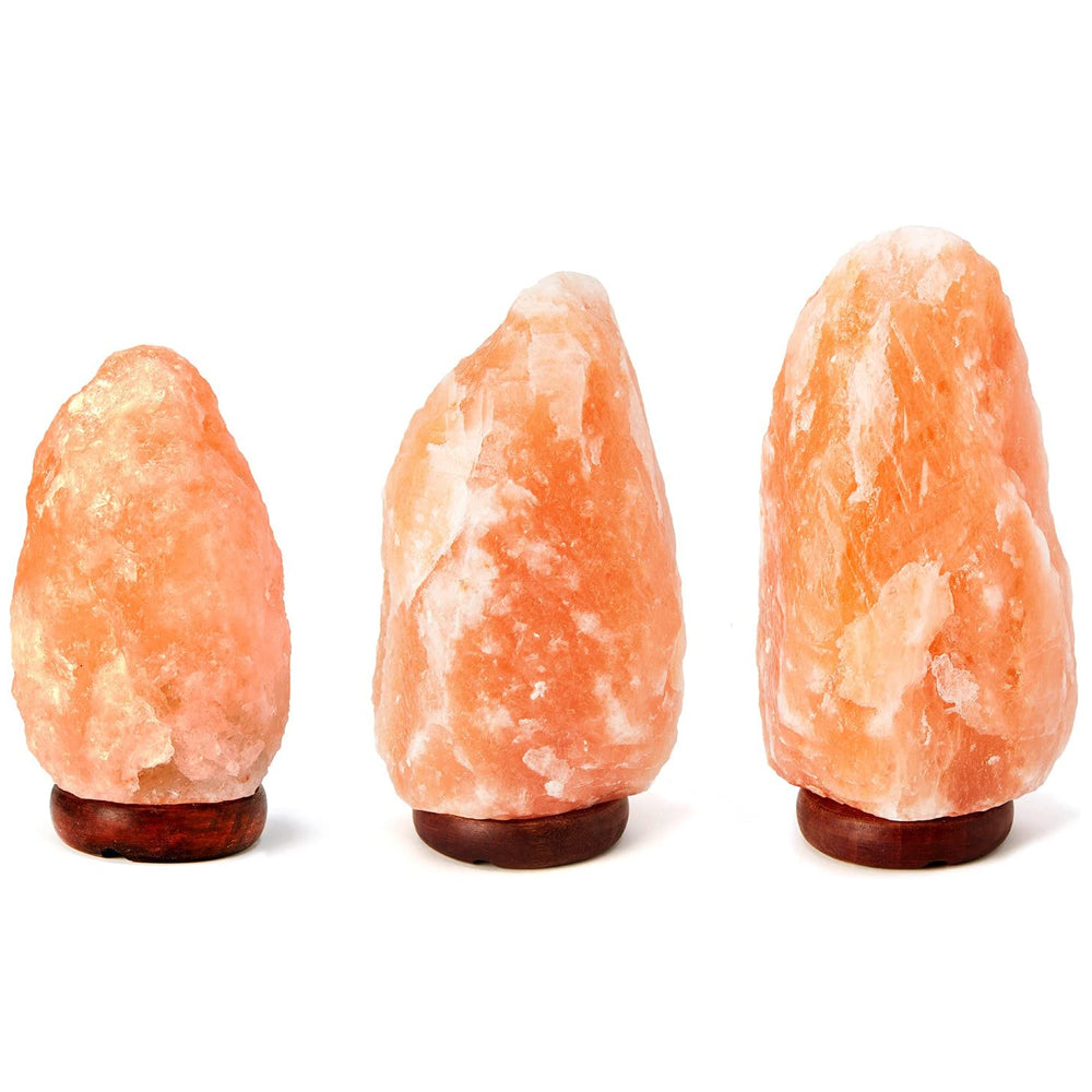 Himalayansk Saltlampa med Dimmerbrytare | Veska 6-8 tum