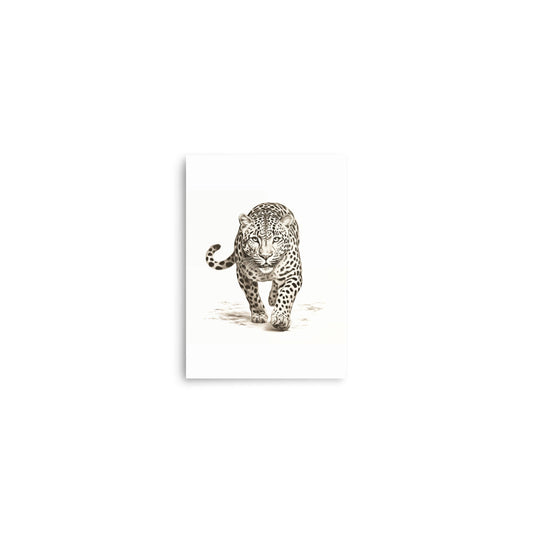 Jaguar 1 | Veska 5″×7″