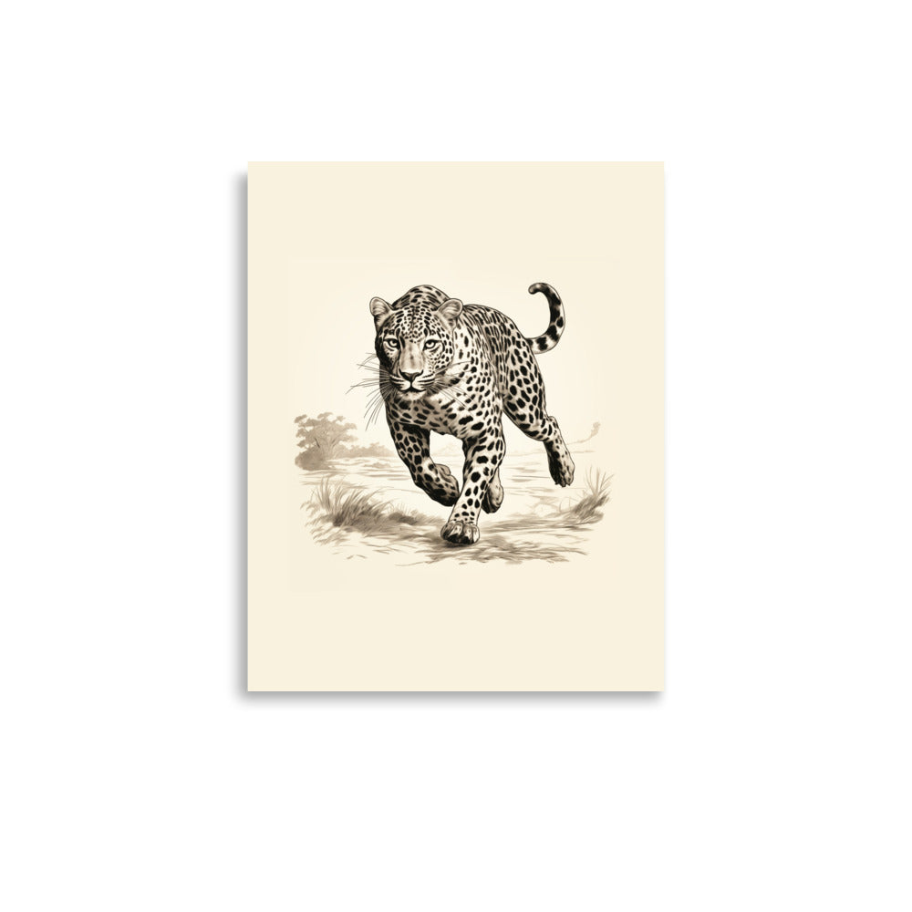 Jaguar 2 | Veska 11″×14″
