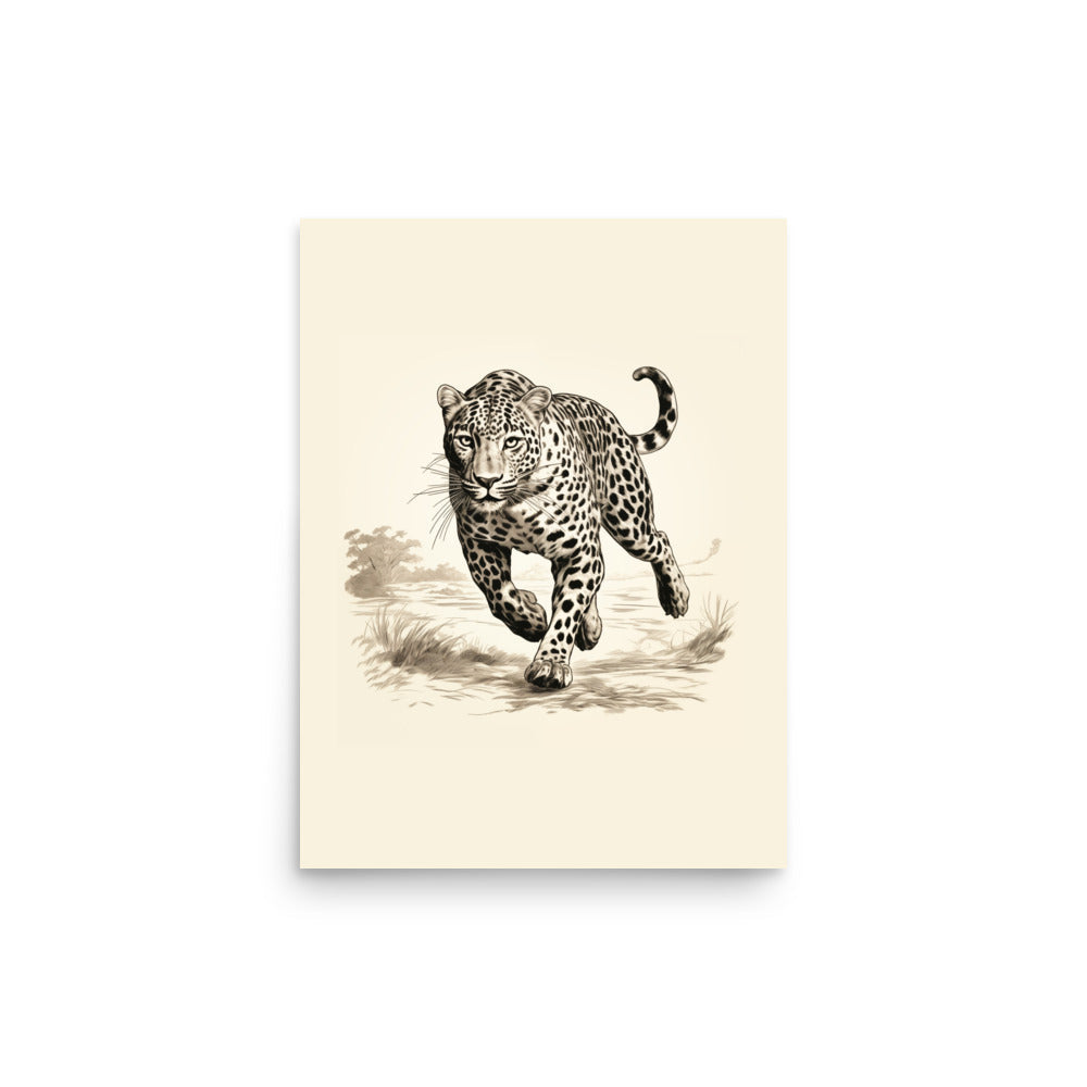 Jaguar 2 | Veska 12″×16″