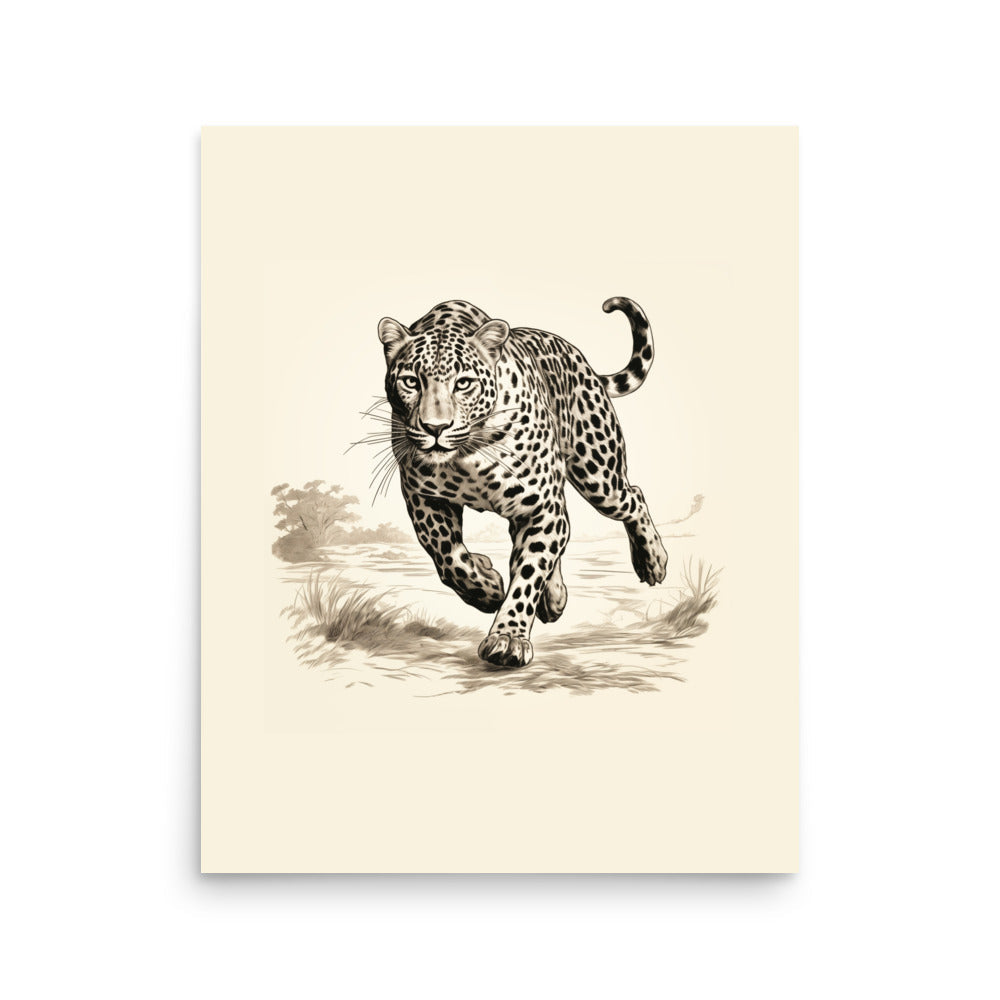 Jaguar 2 | Veska 16″×20″