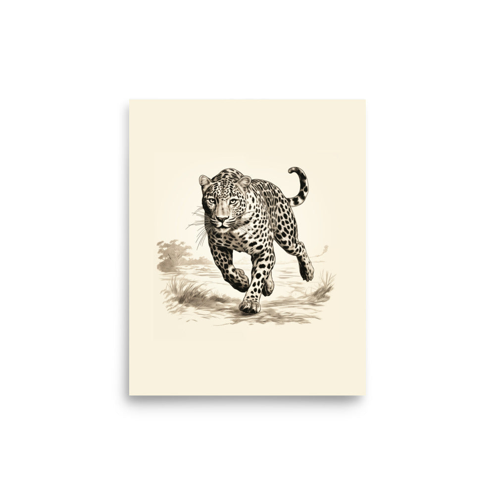 Jaguar 2 | Veska 8″×10″