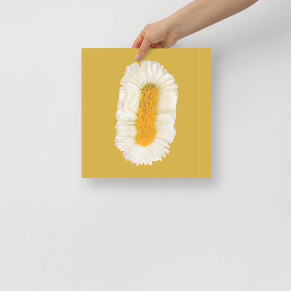 Lazy Daisy | Veska 12×12