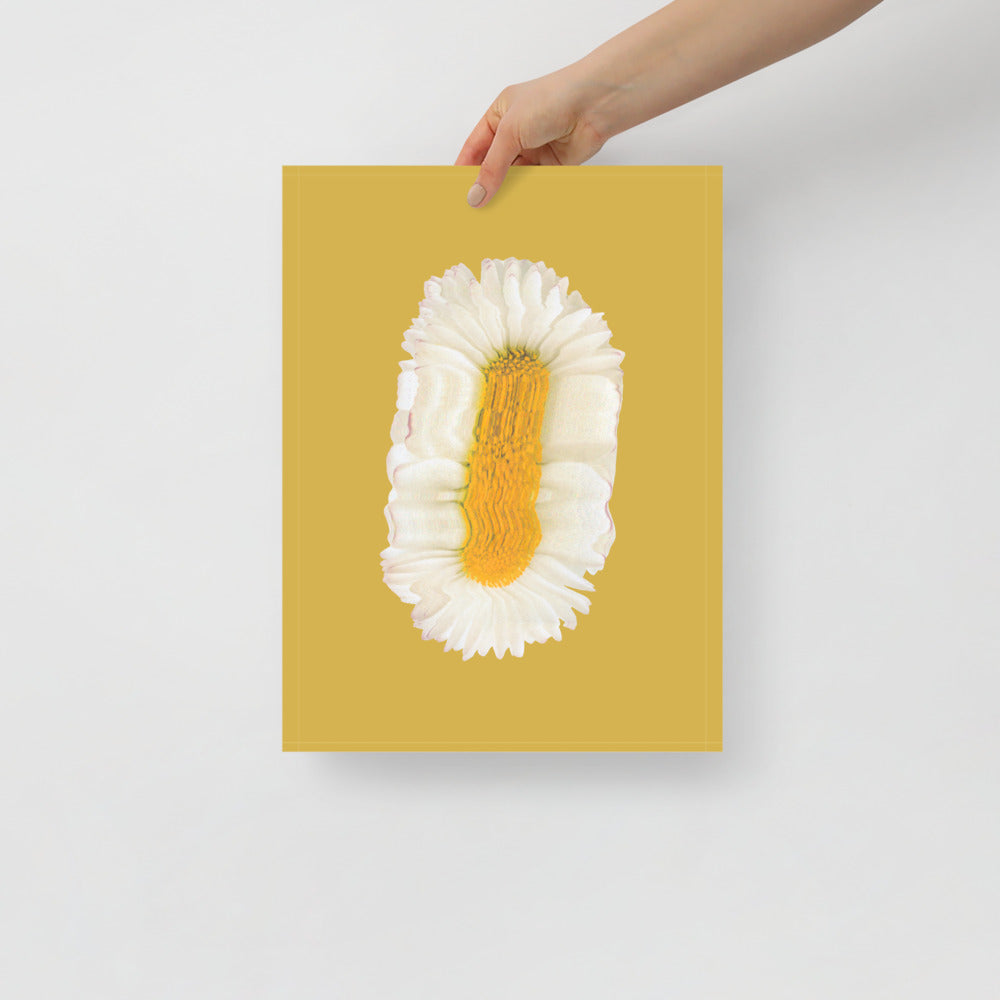 Lazy Daisy | Veska 12×16