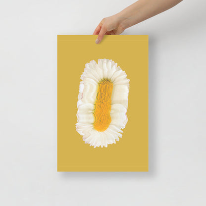 Lazy Daisy | Veska 12×18