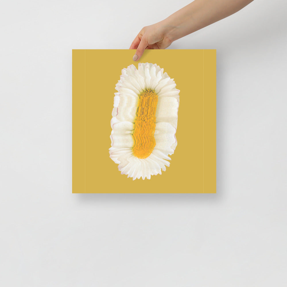 Lazy Daisy | Veska 14×14
