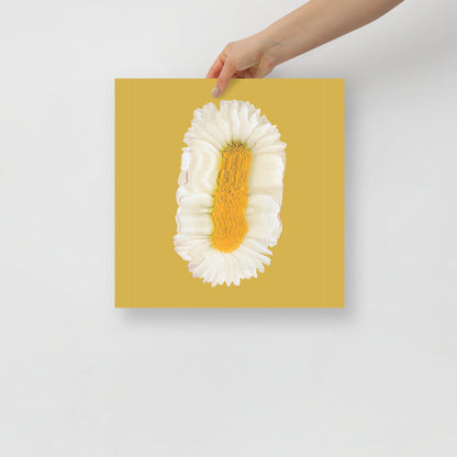 Lazy Daisy | Veska 14×14