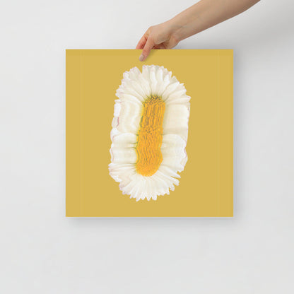 Lazy Daisy | Veska 16×16