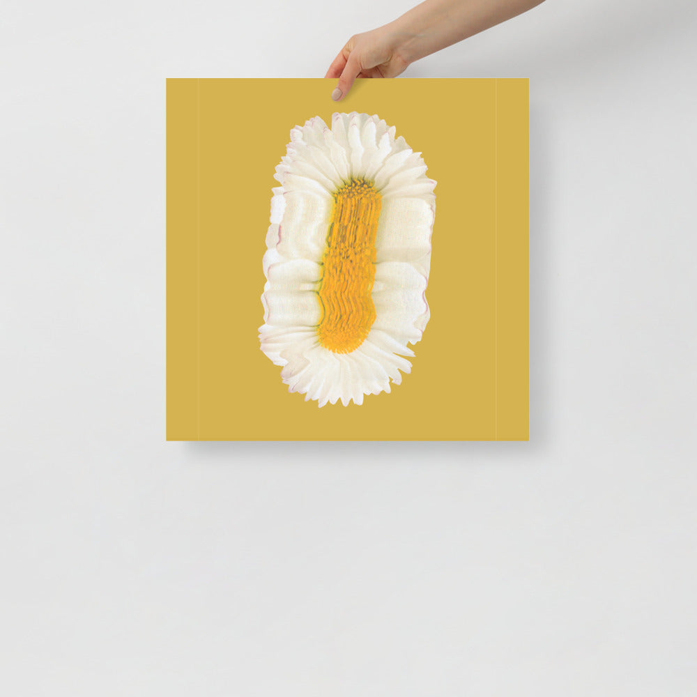 Lazy Daisy | Veska 18×18