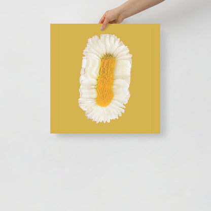 Lazy Daisy | Veska 18×18