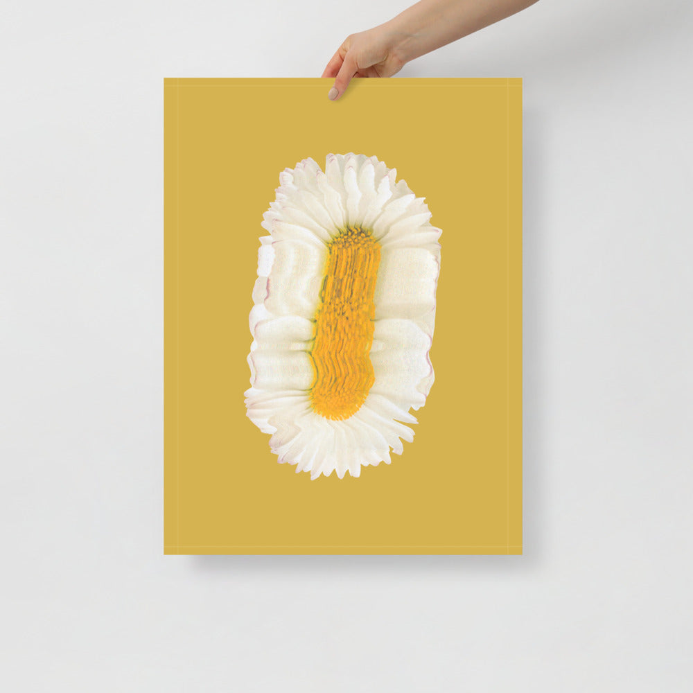 Lazy Daisy | Veska 18×24