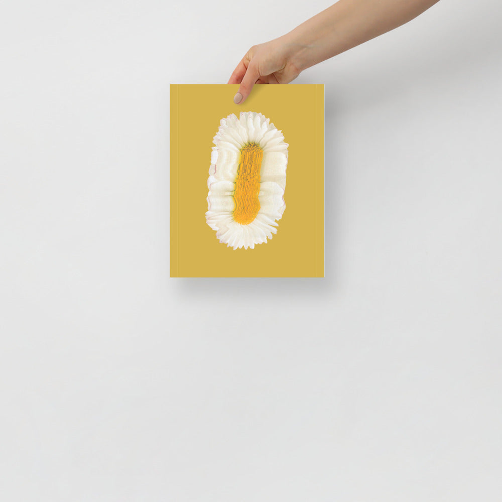 Lazy Daisy | Veska