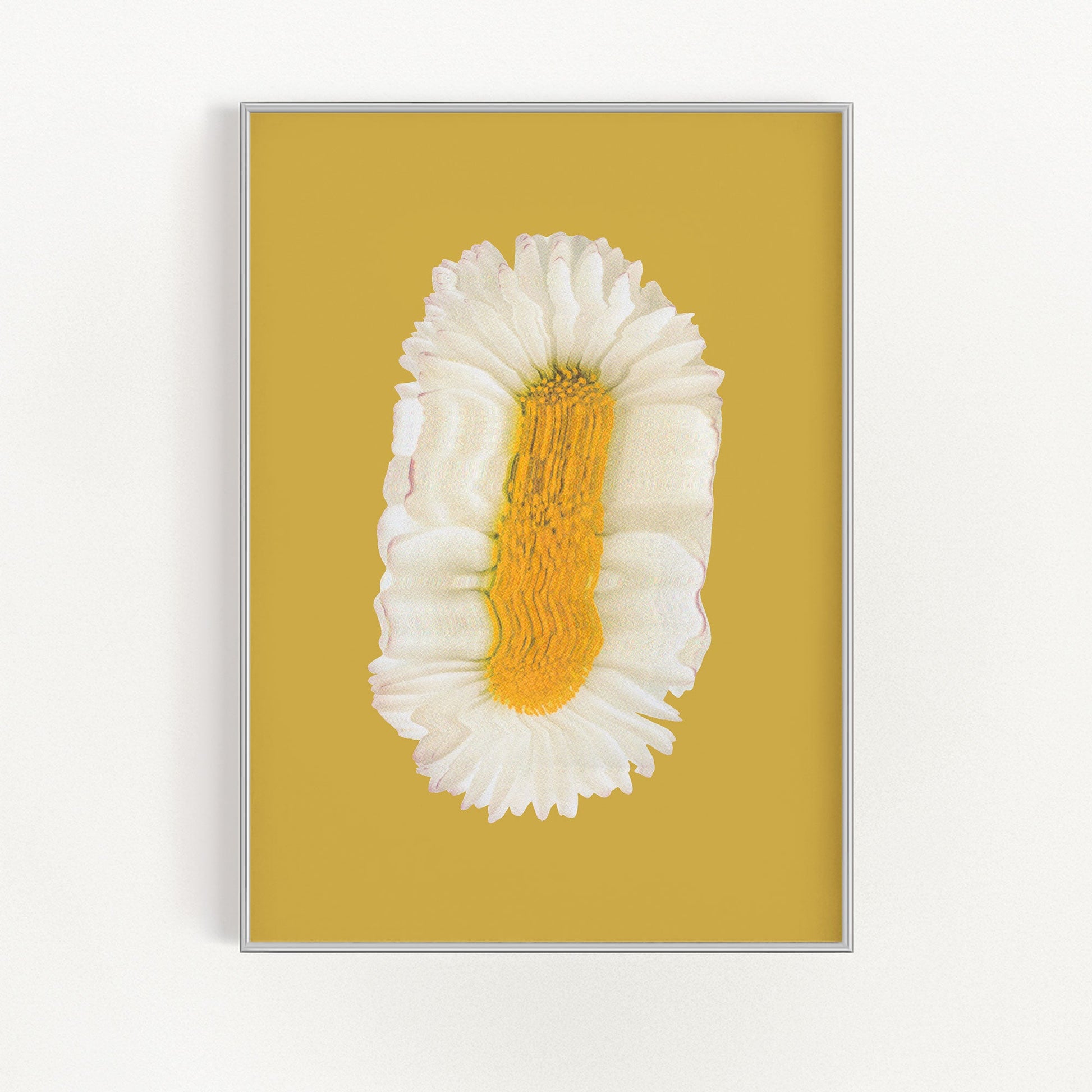 Lazy Daisy | Veska 8×10