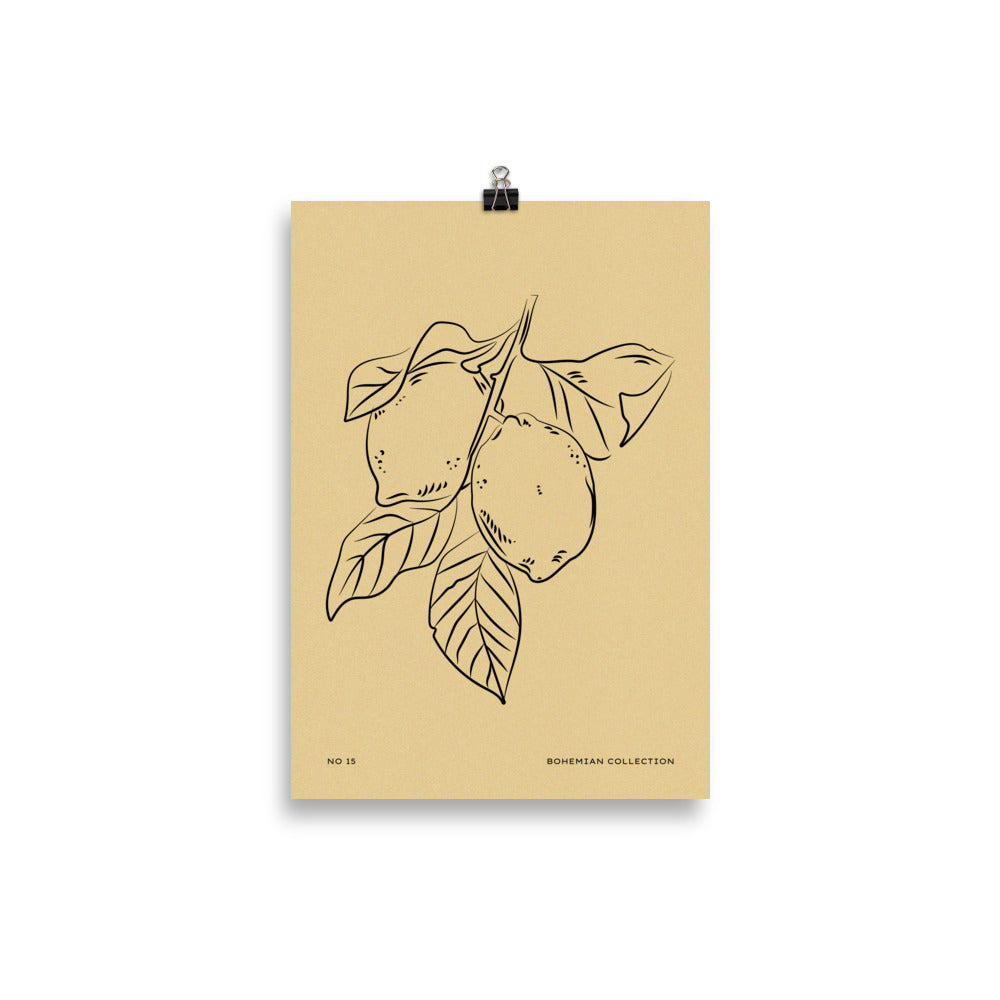 Lemons | Veska