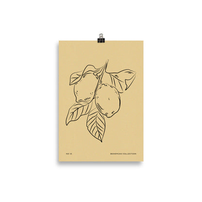 Lemons | Veska